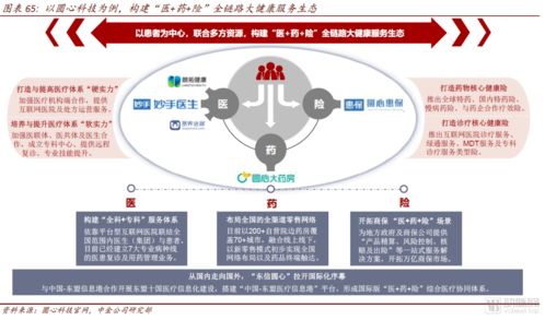 中金公司互聯(lián)網(wǎng)醫(yī)藥產(chǎn)業(yè)報(bào)告 醫(yī)藥零售高毛利時(shí)代謝幕，全域互聯(lián)網(wǎng)銷(xiāo)售新紀(jì)元已來(lái)